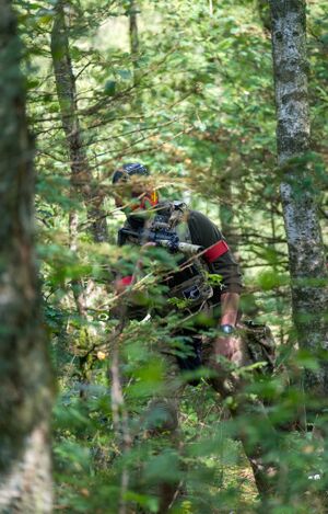 Speedsofter i skov.jpg
