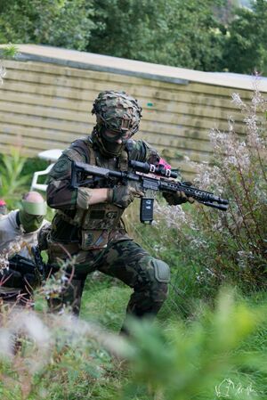 Woodland camo.jpg